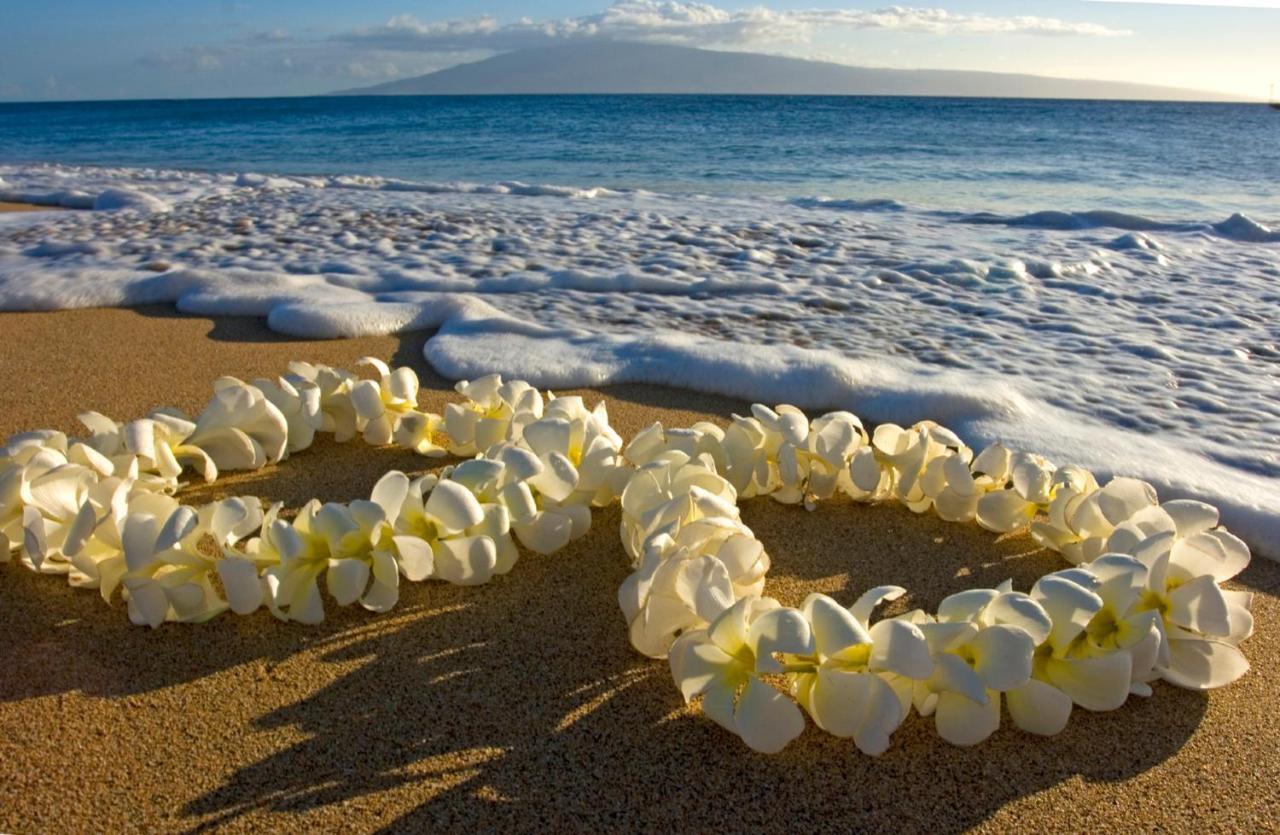 Cozy Waikiki Getaway, Stroll To Beach With Free Parking Honolulu Extérieur photo
